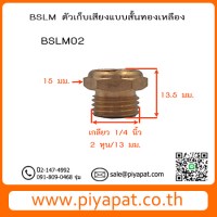BSLM02 รูปโชว์